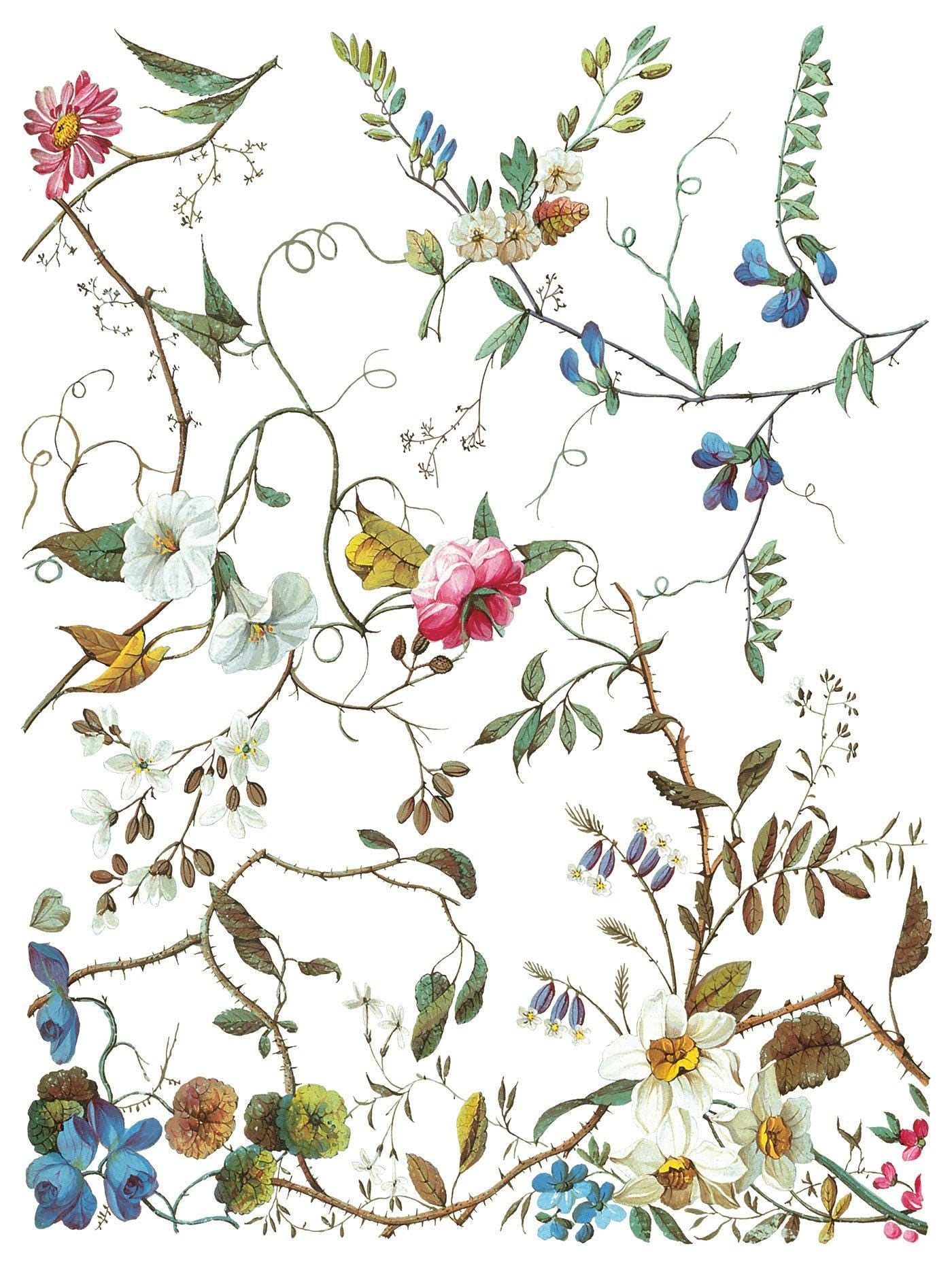 Iron Orchid Designs - Lost Garden Transfer