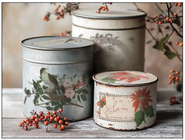 Iron Orchid Designs (IOD)