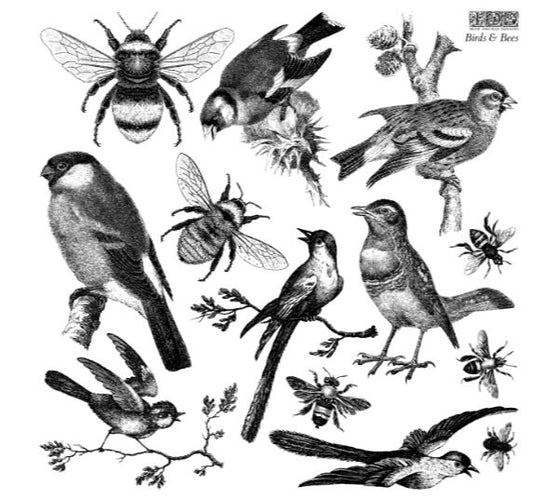 Iron Orchid Designs Birds and Bees Stamp - Vintage Floral Rubber Stamp for Crafting, Scrapbooking & Card Making Supplies
