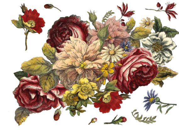 Iron Orchid Designs - Floral Anthology Transfer | Vintage Flower Decal for DIY Furniture & Craft Decor