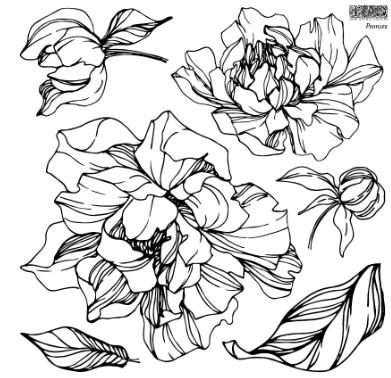 Iron Orchid Designs Peonies Stamp - Floral Clear Stamp for Scrapbooking & Card Making, DIY Craft Supplies