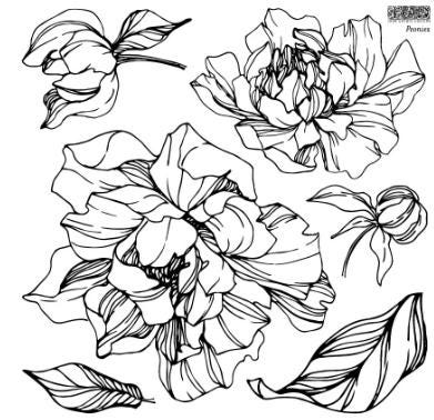 Iron Orchid Designs - Peonies Stamp
