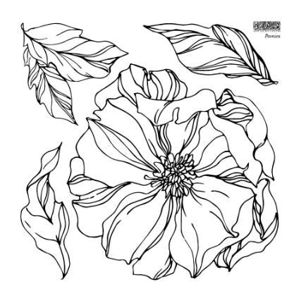 Iron Orchid Designs - Peonies Stamp