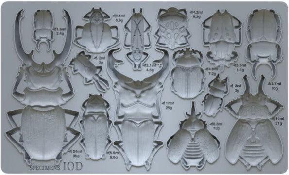 Iron Orchid Designs - Specimens Mould