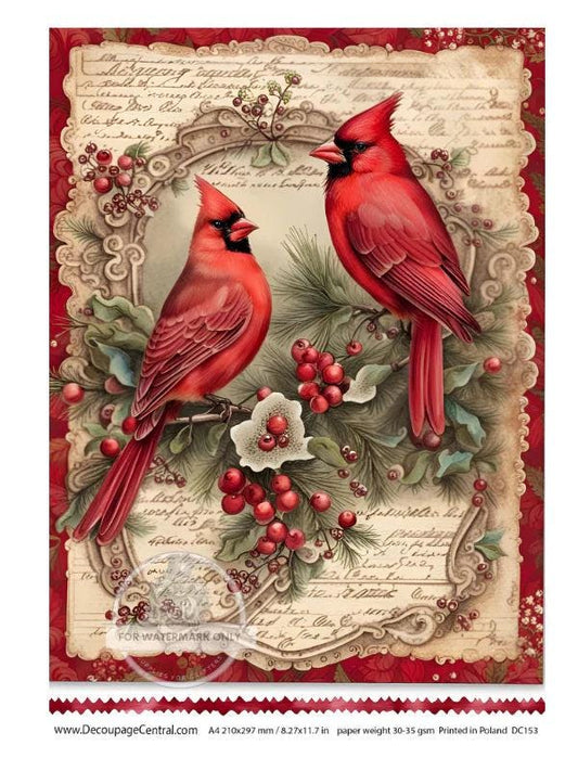 A4 Christmas Cardinals Decoupage Paper DC153