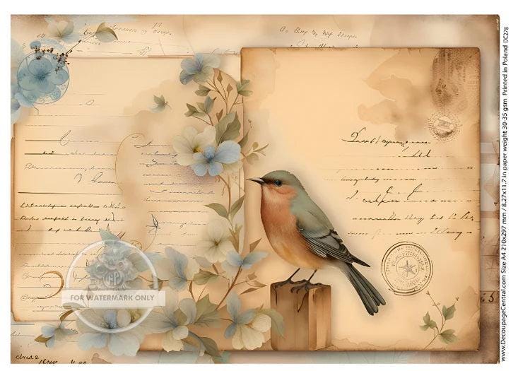 A4 Bird and Parchment Decoupage Rice Paper - DC278