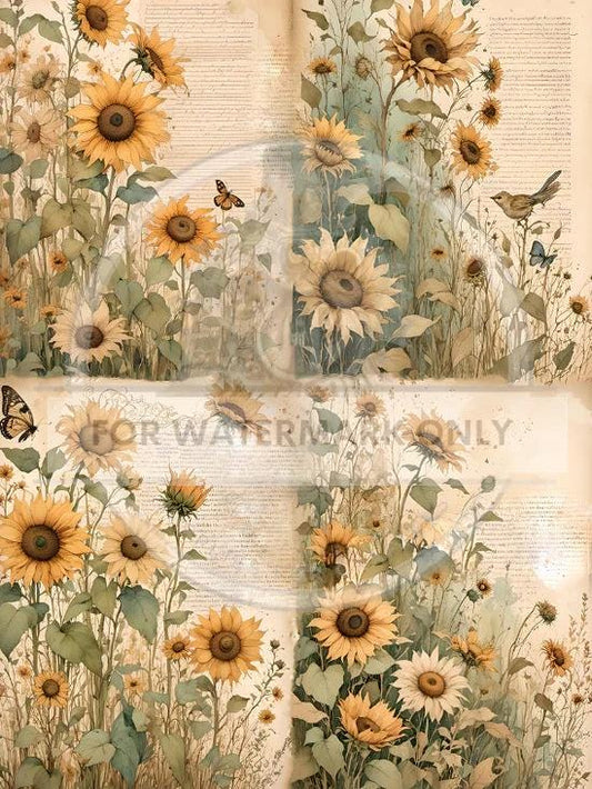 Sunflower Dreamin A4 Quad Rice Paper DC640 | Decoupage & Crafts, Floral Scrapbooking Paper