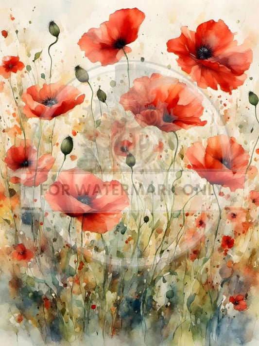 A4 Watercolor Poppies Rice Paper DC645 - Decoupage & Crafts, Floral Art Paper, Scrapbooking Supplies