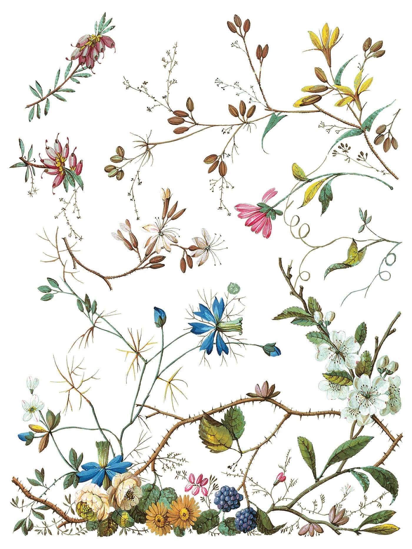 Iron Orchid Designs - Lost Garden Transfer