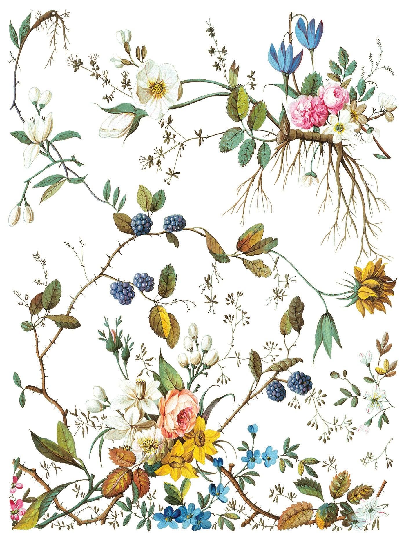 Iron Orchid Designs - Lost Garden Transfer