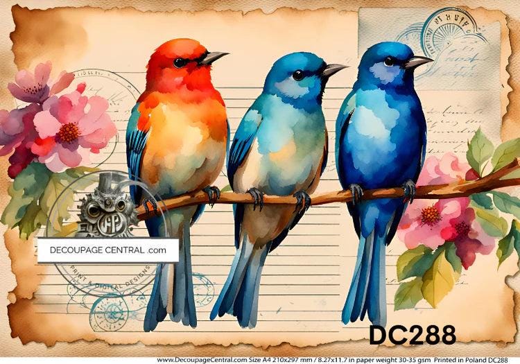 Watercolor Birds Decoupage Rice Paper DC288 - Postale Design for Crafting & Scrapbooking