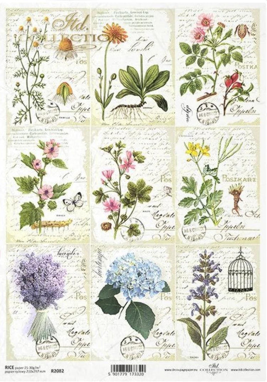 A4 Herb Decoupage Rice Paper - R2082