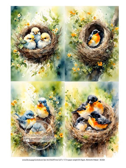 A4 Nest Birds Multi Decoupage Paper - DC364