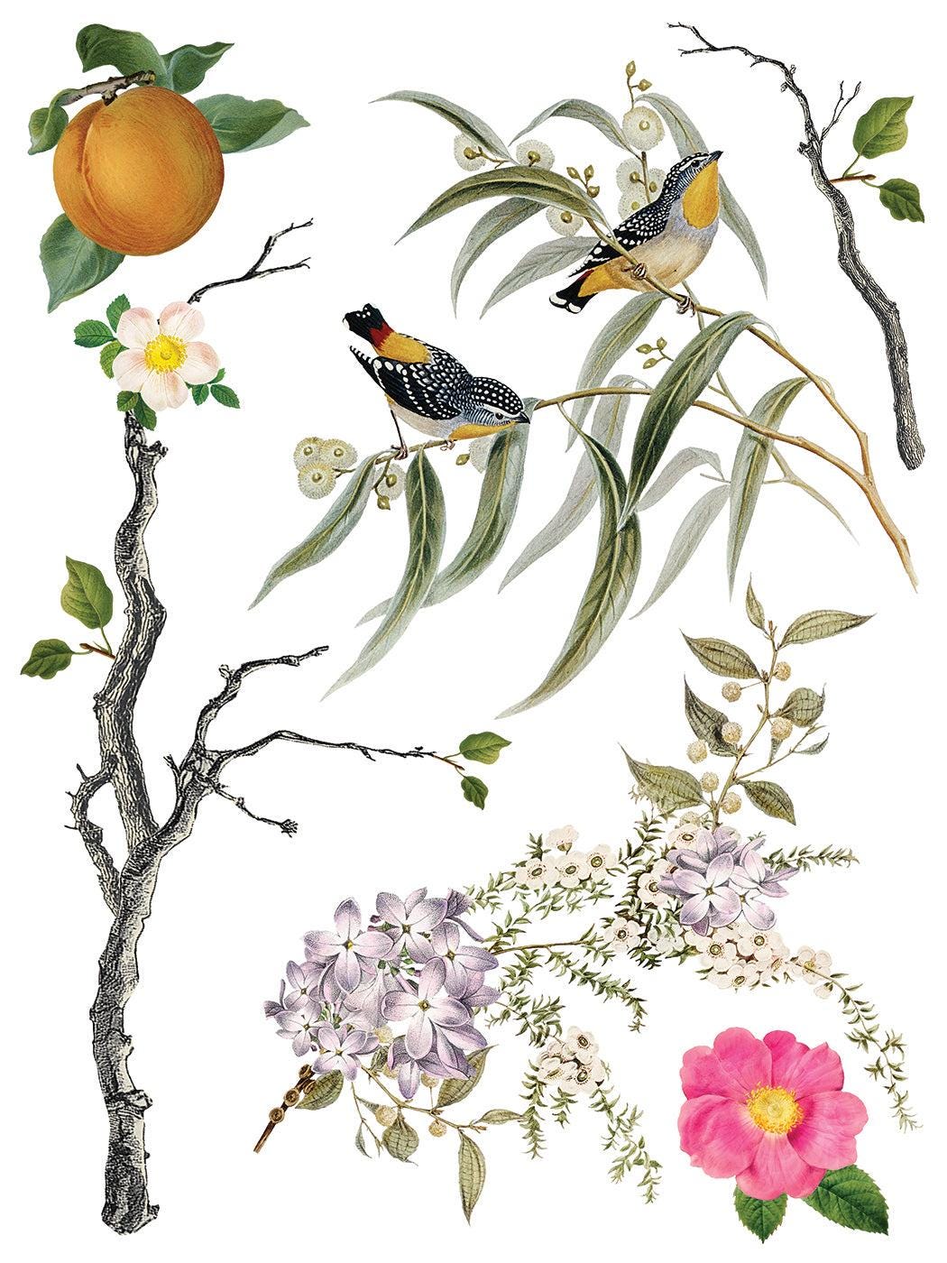 Iron Orchid Designs Menagerie Transfer