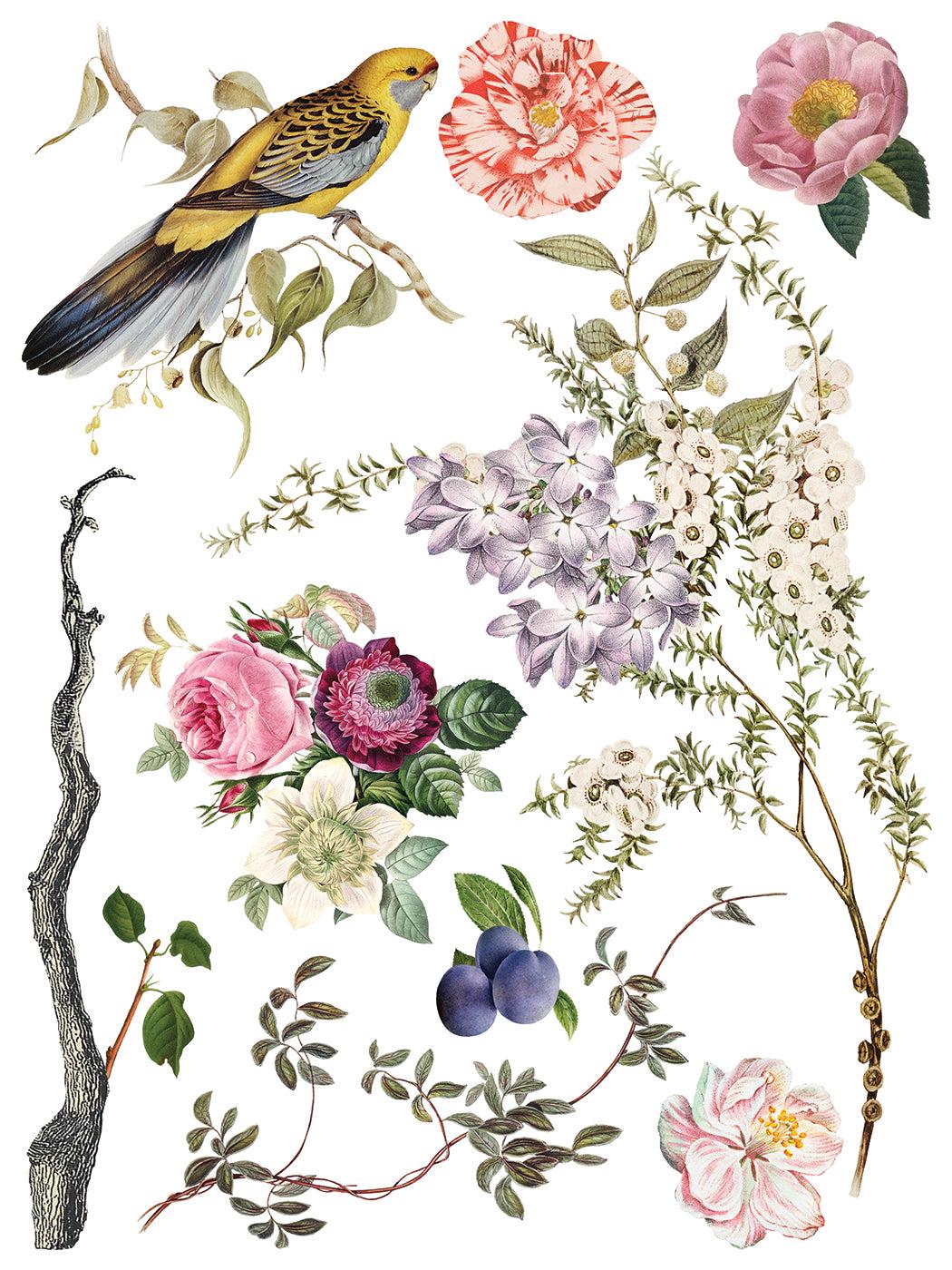 Iron Orchid Designs Menagerie Transfer