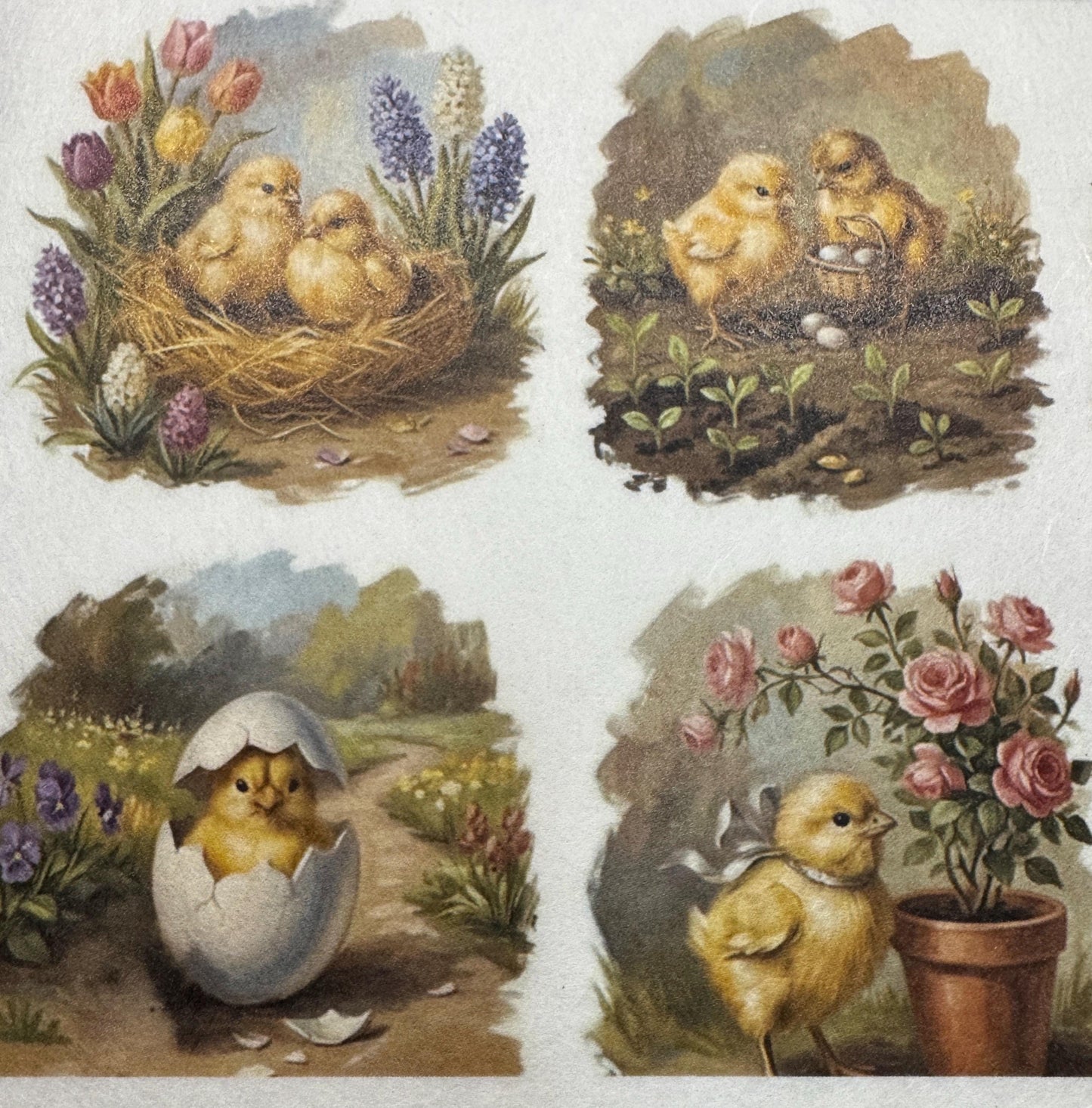 A4 Baby Chick Decoupage Rice Paper DC946 - 12 images per sheet
