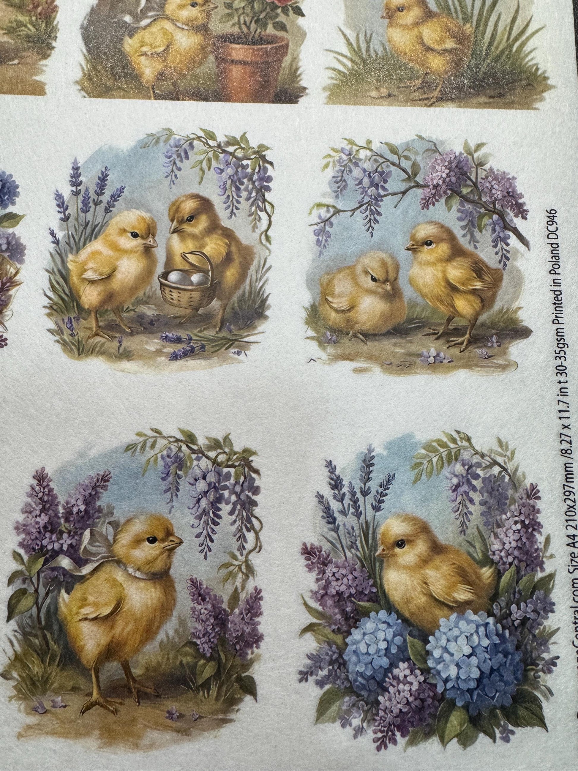 A4 Baby Chick Decoupage Rice Paper DC946 - 12 images per sheet