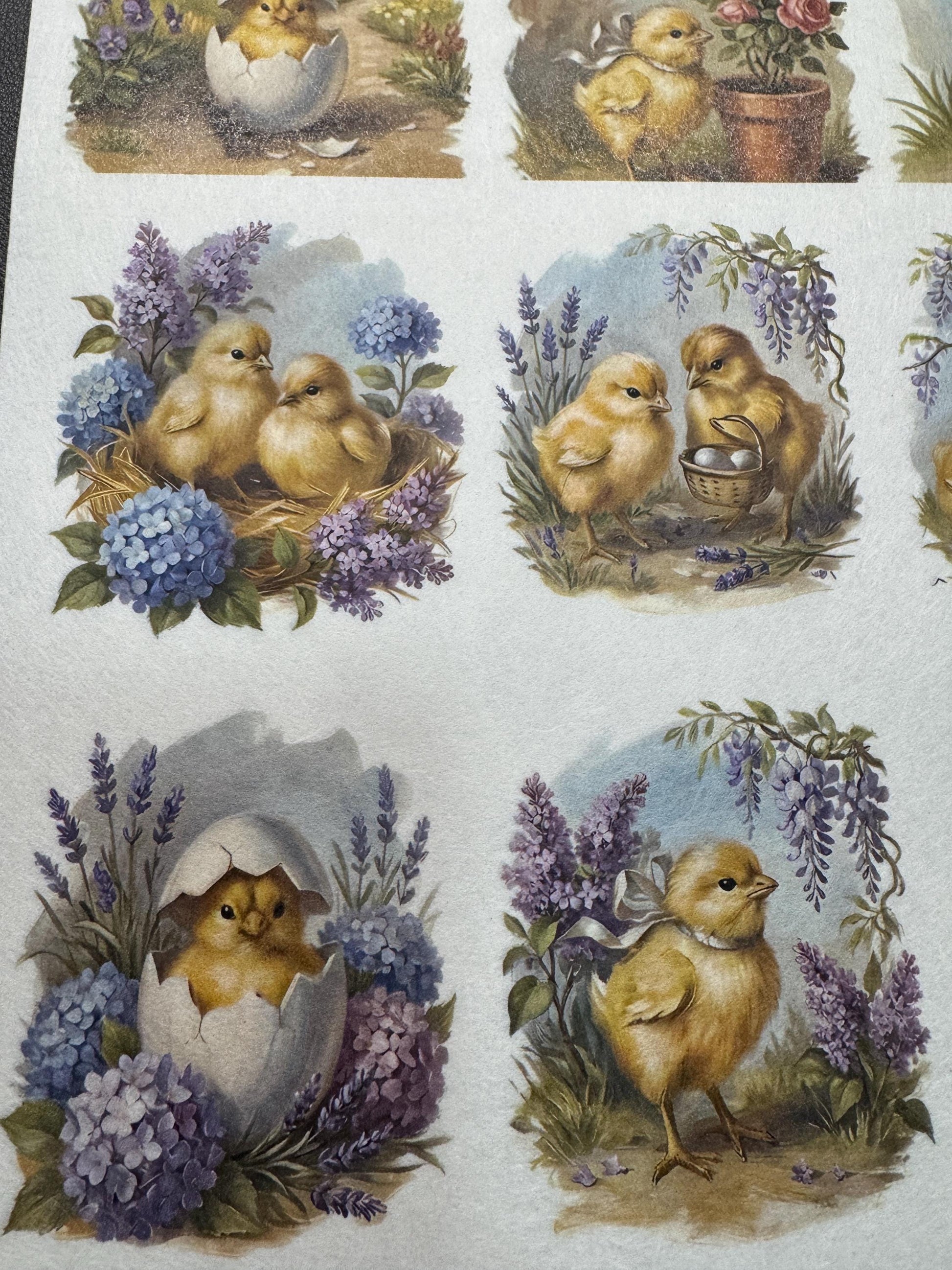 A4 Baby Chick Decoupage Rice Paper DC946 - 12 images per sheet