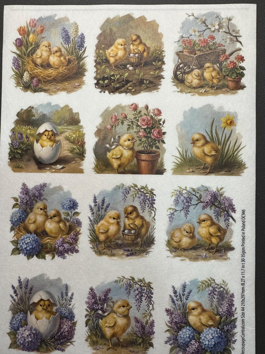 A4 Baby Chick Decoupage Rice Paper DC946 - 12 images per sheet