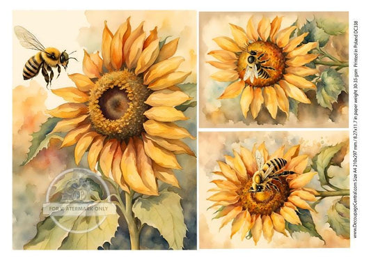 May include: Three watercolor paintings of sunflowers with bees. The sunflowers are yellow with brown centers. The bees are black and yellow.