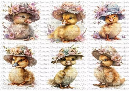 A4 Baby Ducks in Vintage Bonnets (6 images) Decoupage Rice Paper - RR18