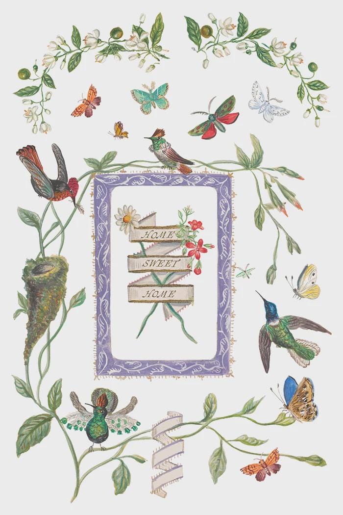 Iron Orchid Designs - Emily Clare - 8"x12" Transfer