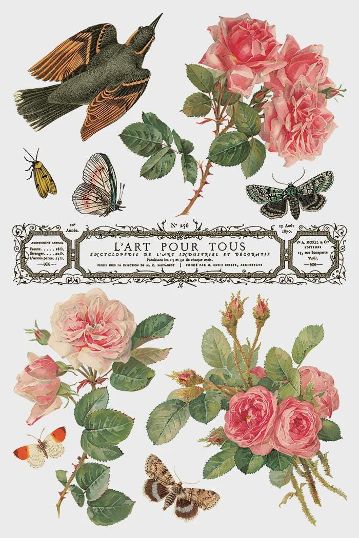 Iron Orchid Designs - By Any Other Name Transfer