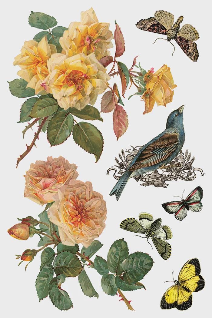 Iron Orchid Designs - By Any Other Name Transfer