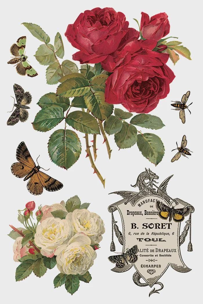 Iron Orchid Designs - By Any Other Name Transfer