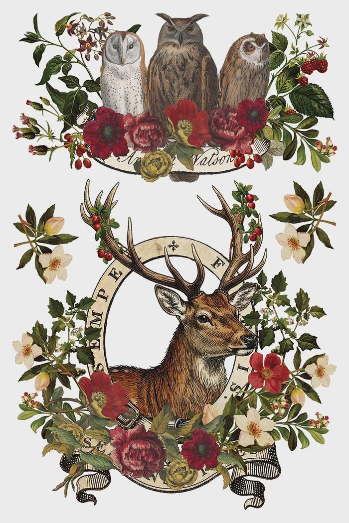 Iron Orchid Designs - Stag Tavern Transfer