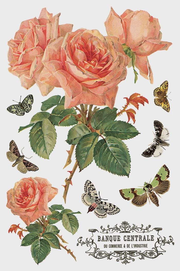 Iron Orchid Designs - By Any Other Name Transfer