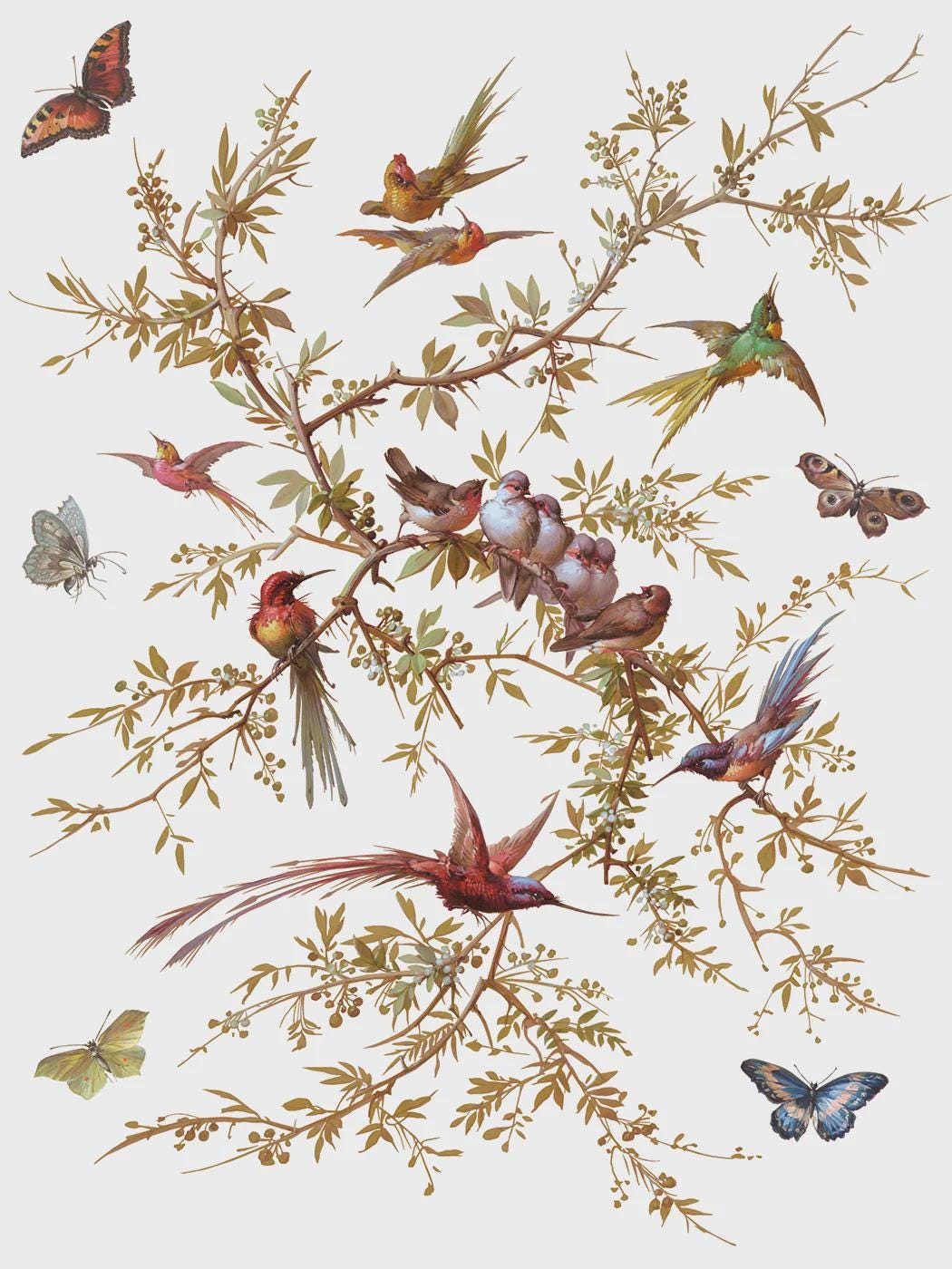 Iron Orchid Designs - Madeleine - 12"x16" Transfer